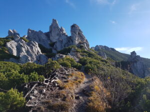 20231029_091510(0)