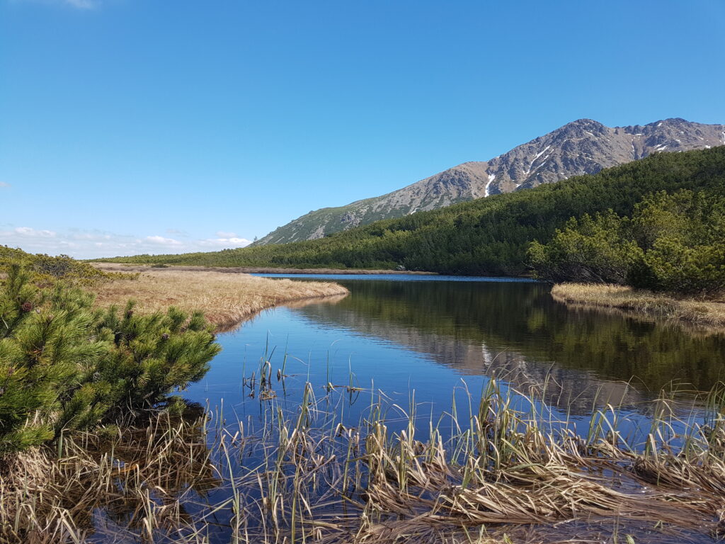 Staw Stręgacznik i Rakusa Czuba