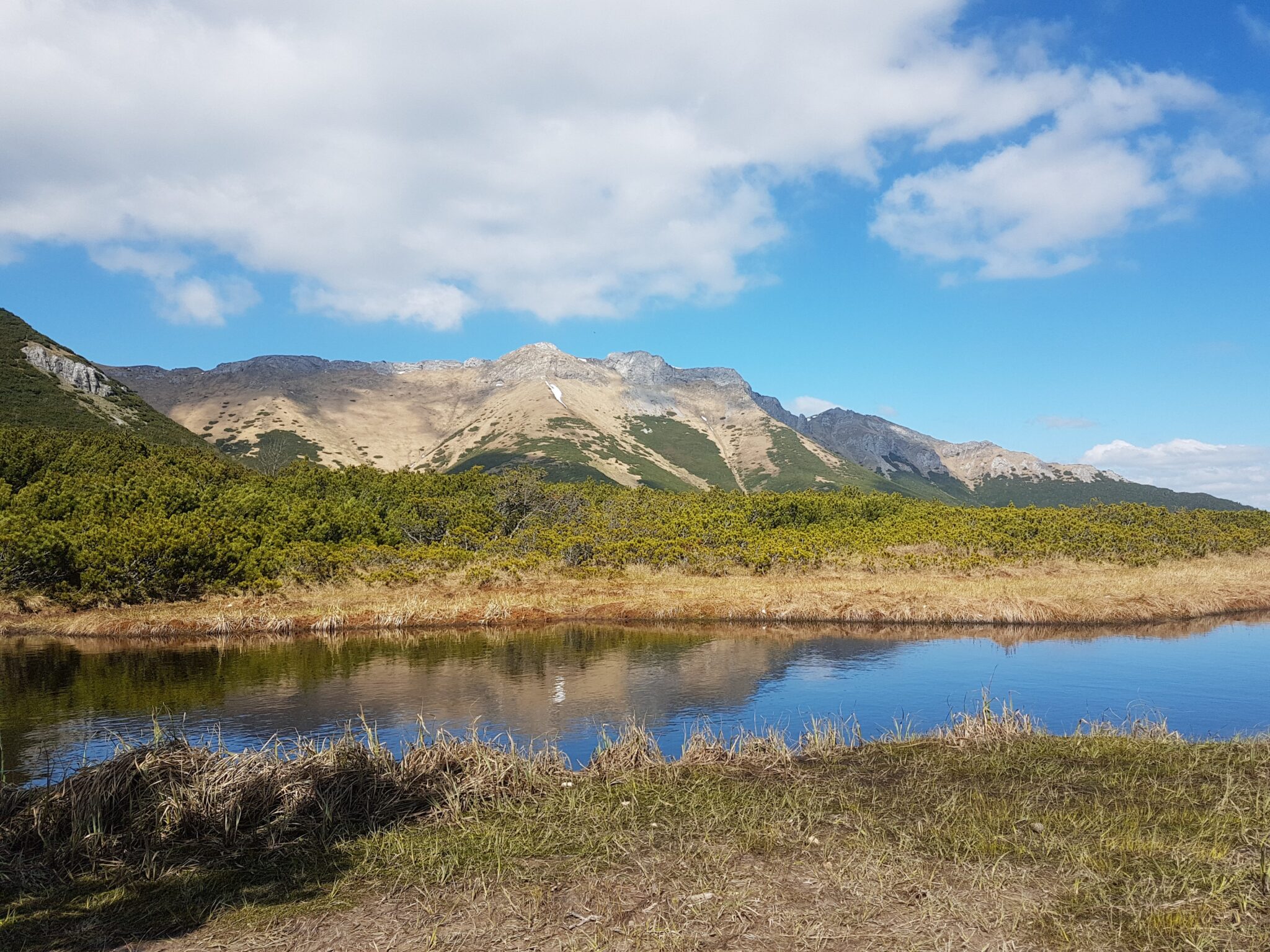 Stręgacznik i Tatry Bielskie
