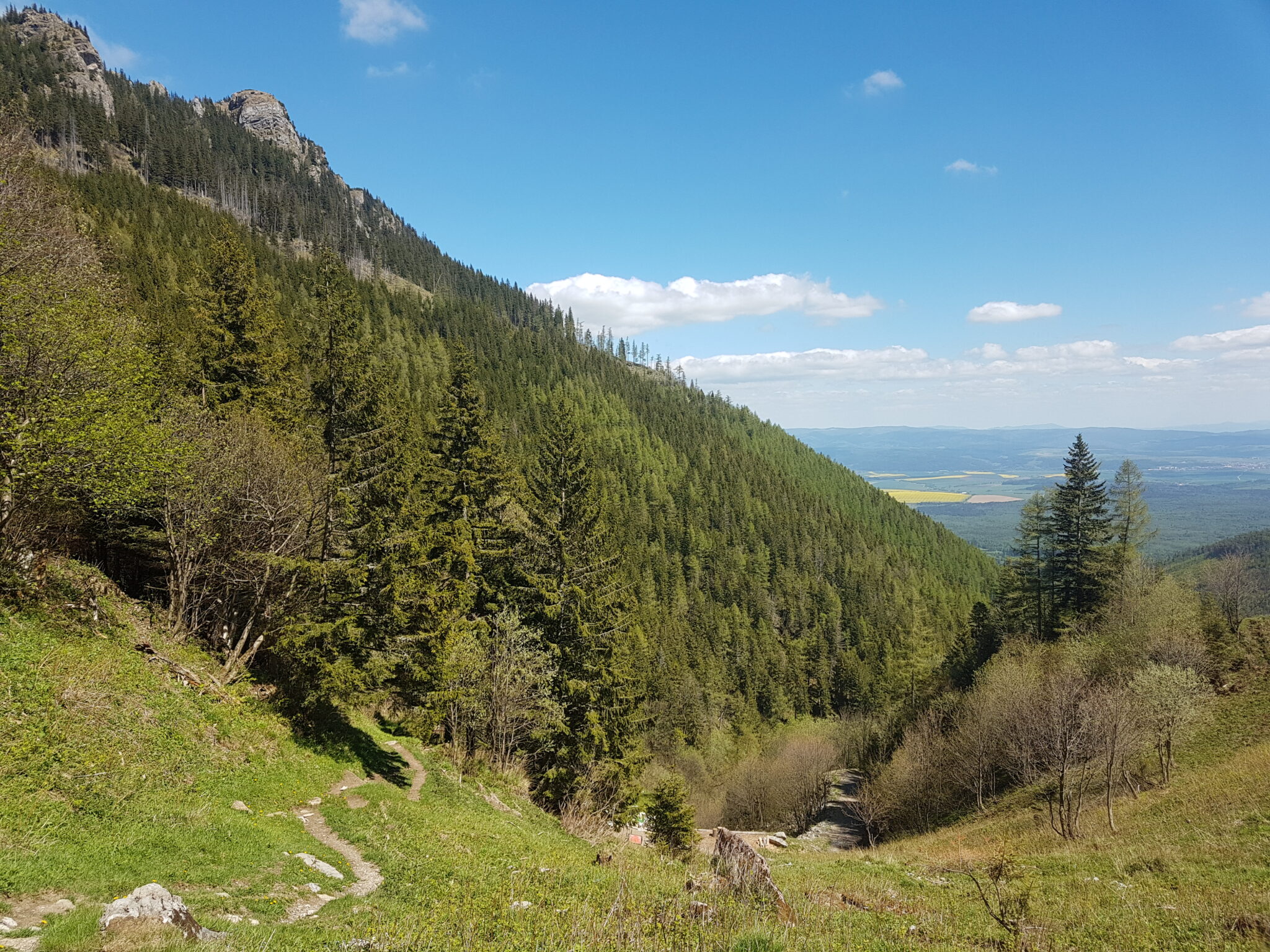Ścieżka nad Chatą Plesnivec