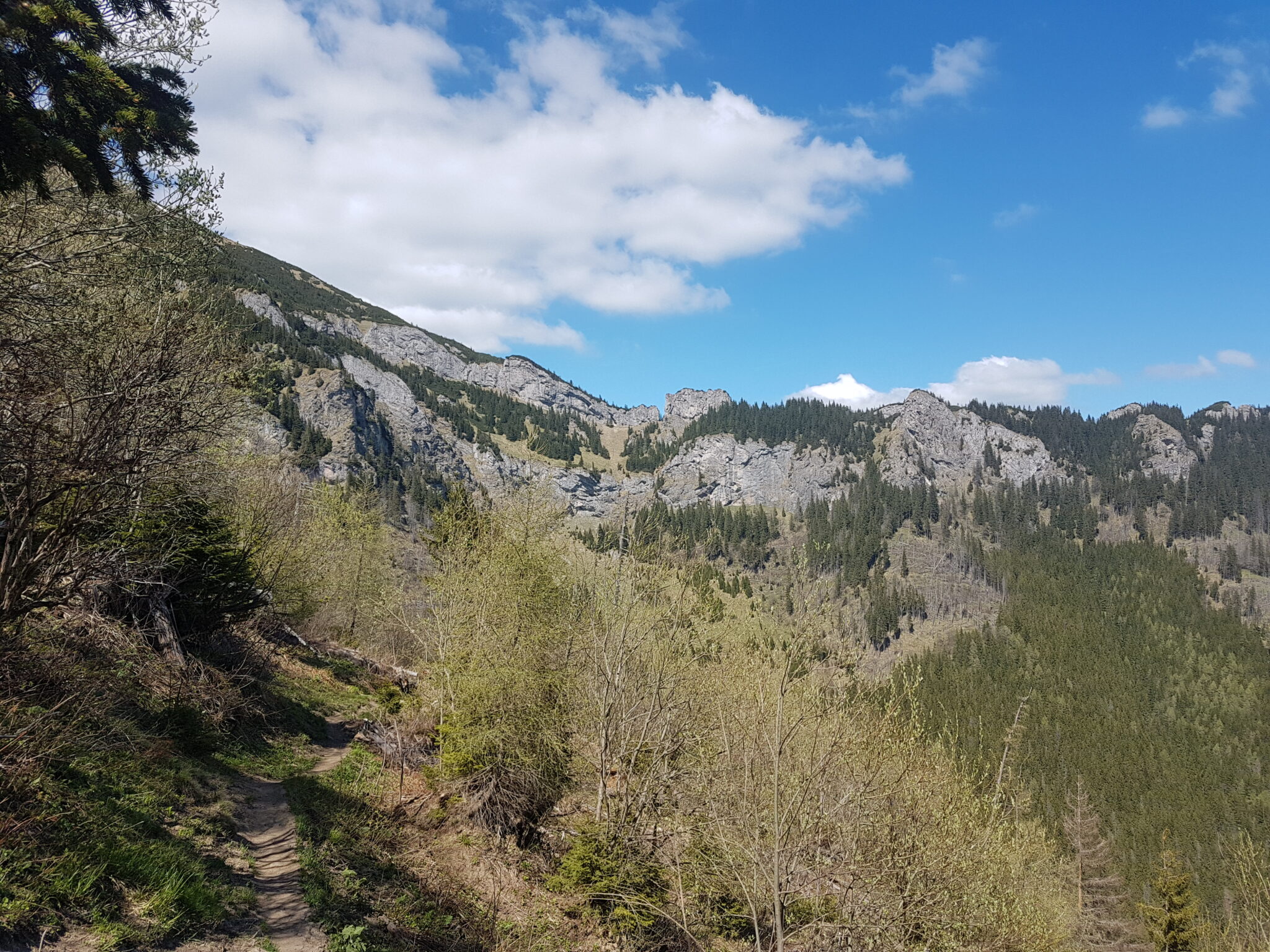 Skały nad Chatą Plesnivec