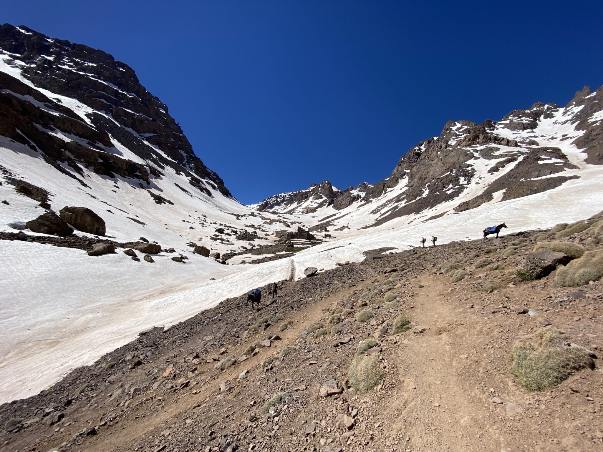 Ścieżka na Toubkal i jej nieodłączny element - muł