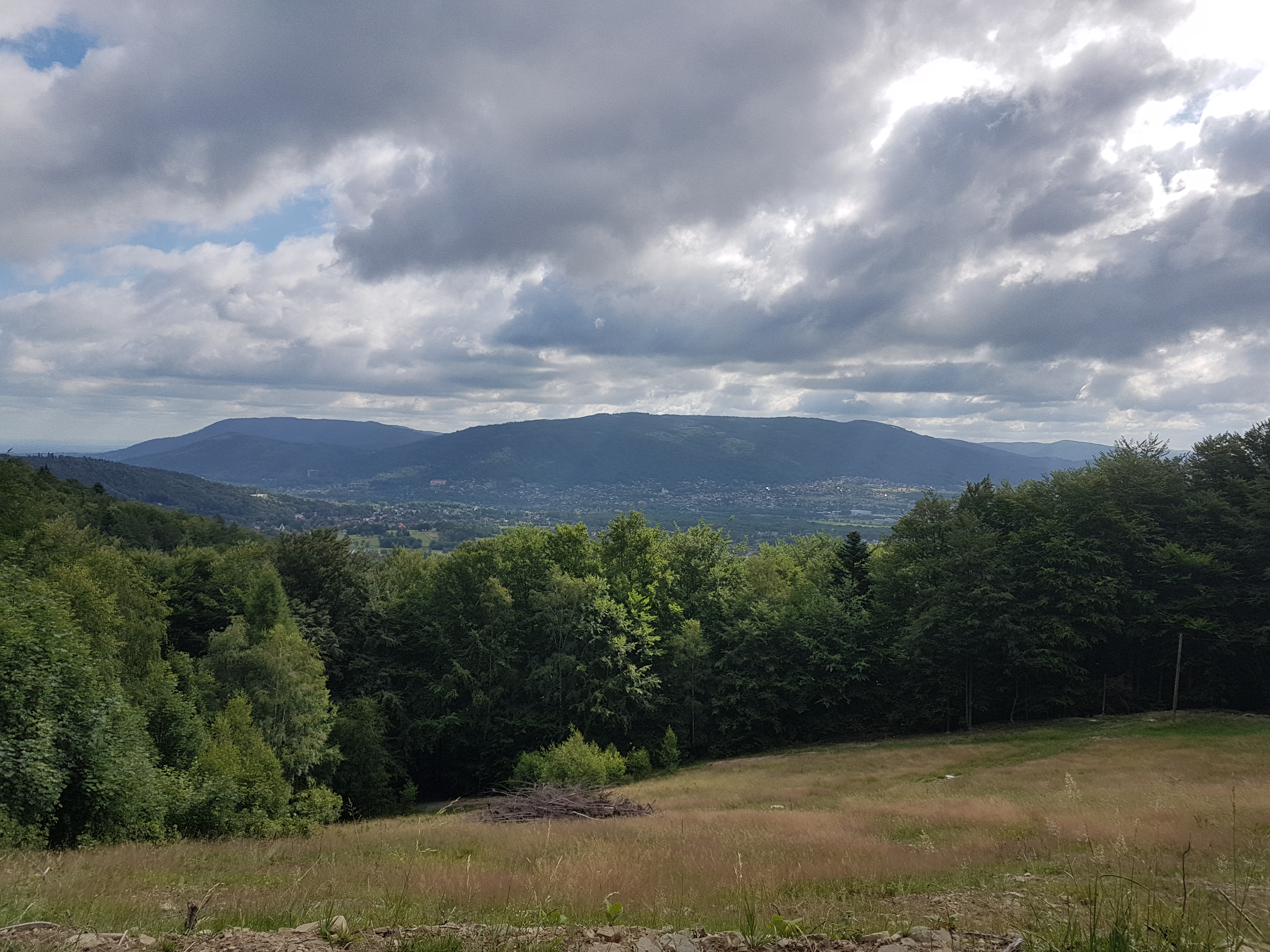 Widok na Rogacz