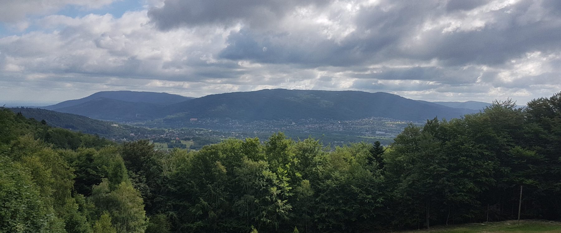 Widok na Rogacz