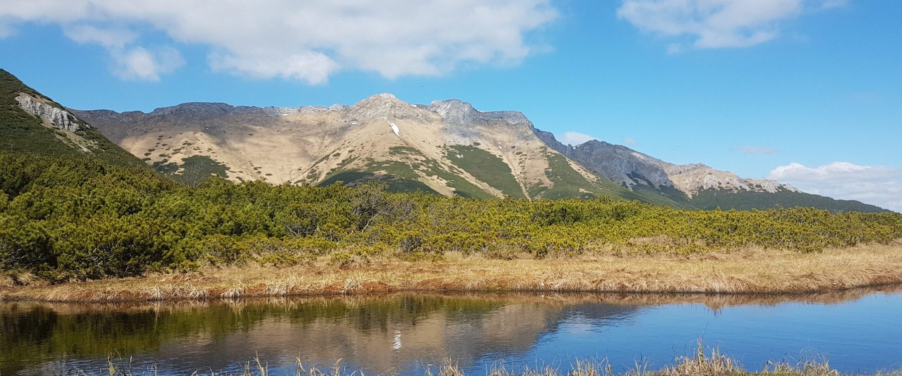 Stręgacznik i Tatry Bielskie